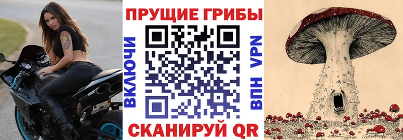 Псилоцибиновые грибы мухоморы  Купить  Ивангород 